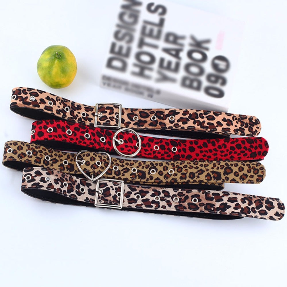 Women New Belt Cummerbund Horsehair