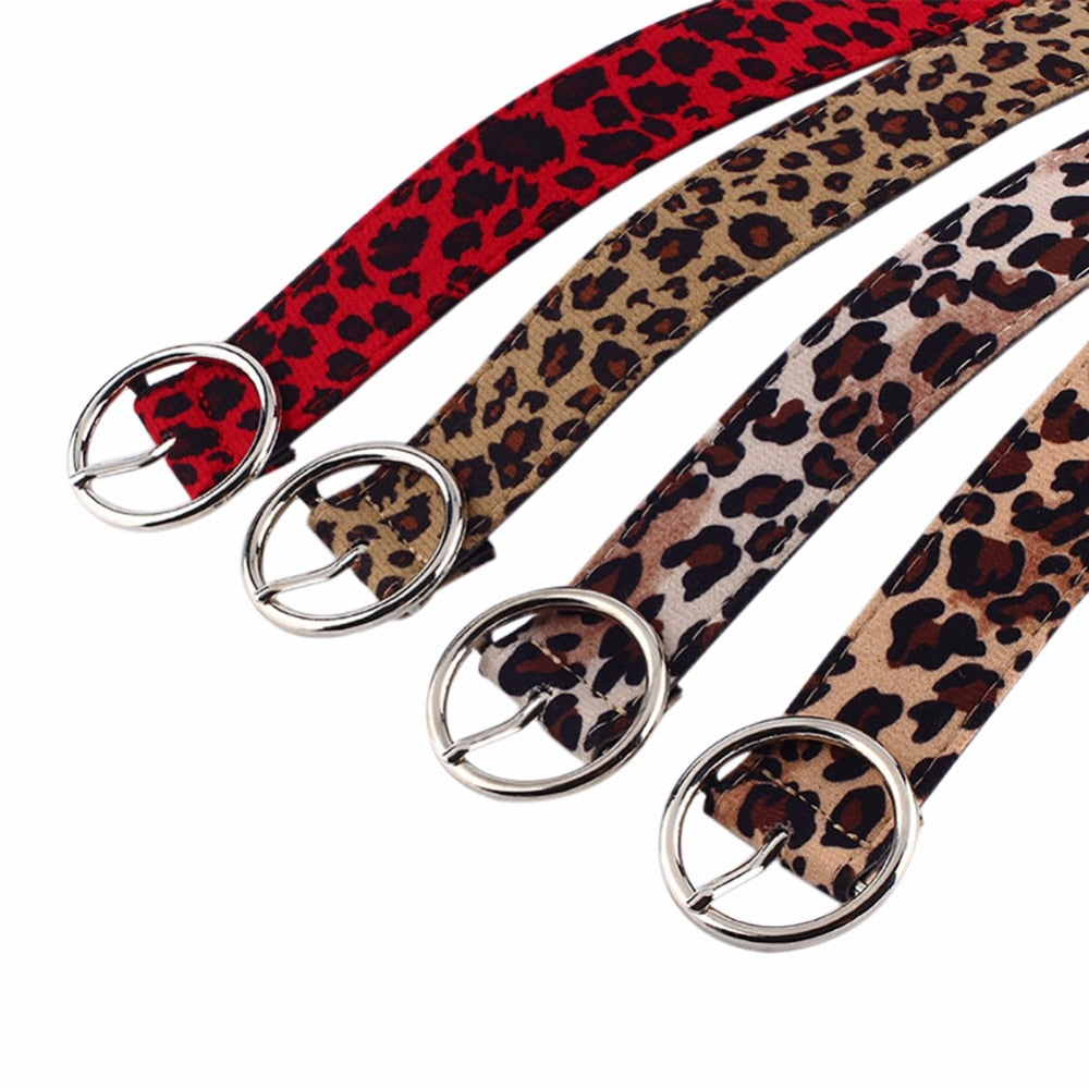 Women New Belt Cummerbund Horsehair