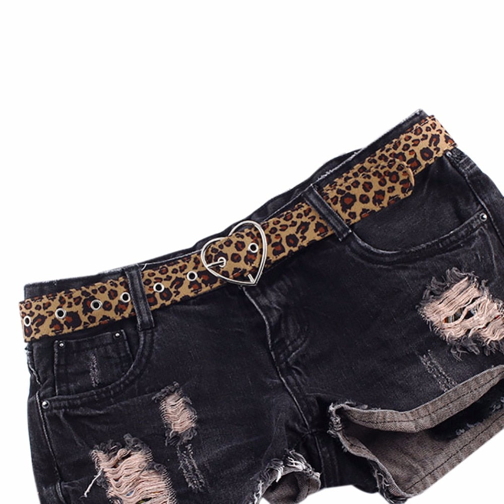 Women New Belt Cummerbund Horsehair