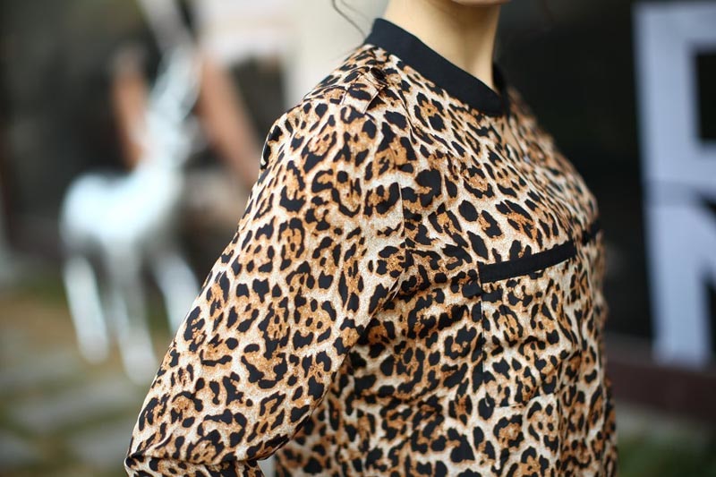 New Women Leopard Chiffon Shirt Long Sleeved Shirt Stripe Loose