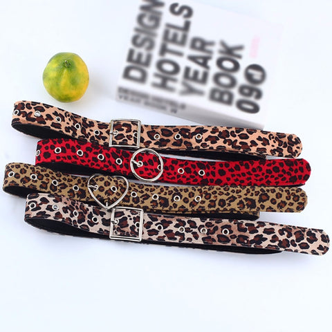 Women New Belt Cummerbund Horsehair